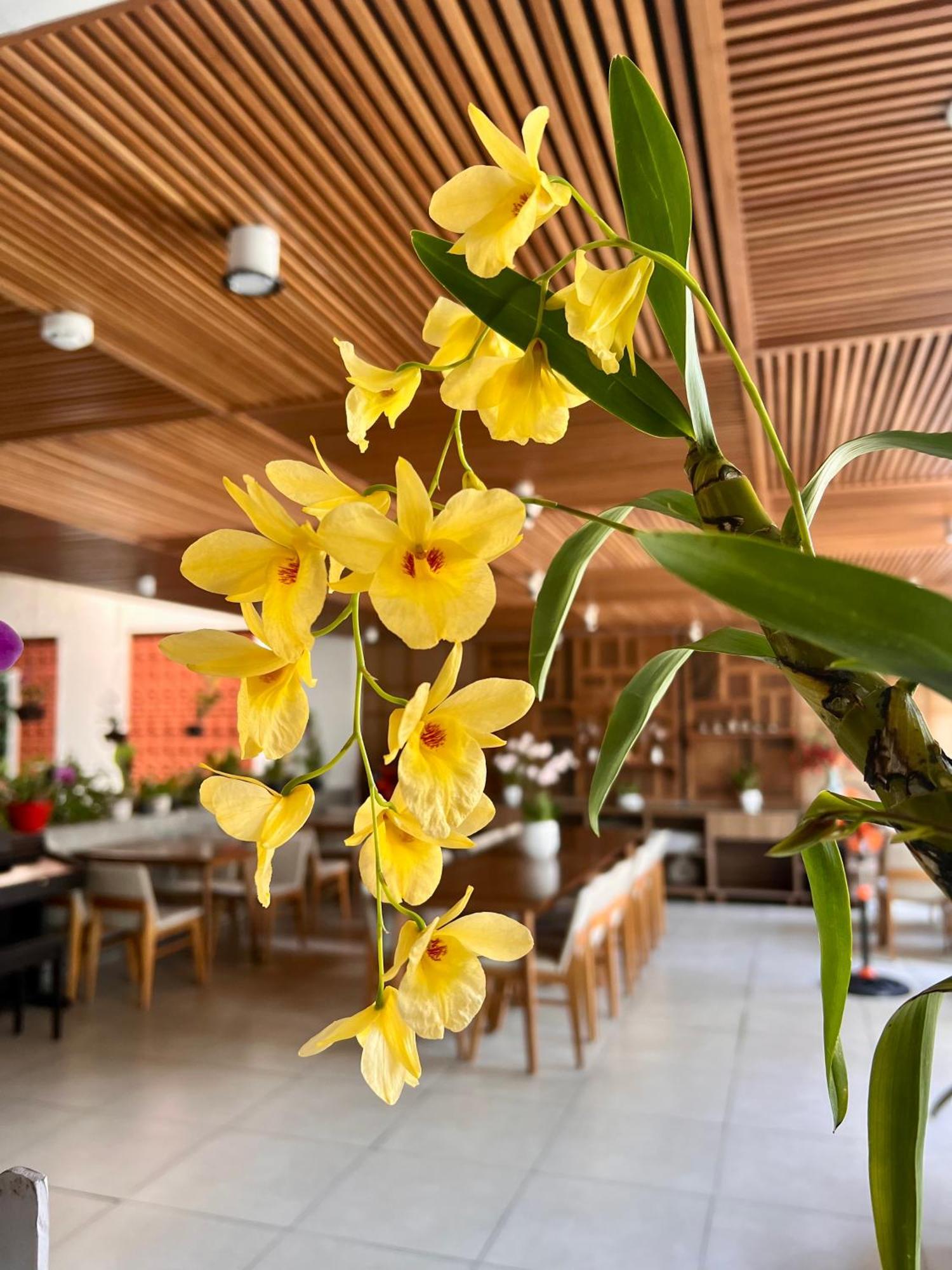 Ponte Boutique Da Nang Hotel Exterior photo